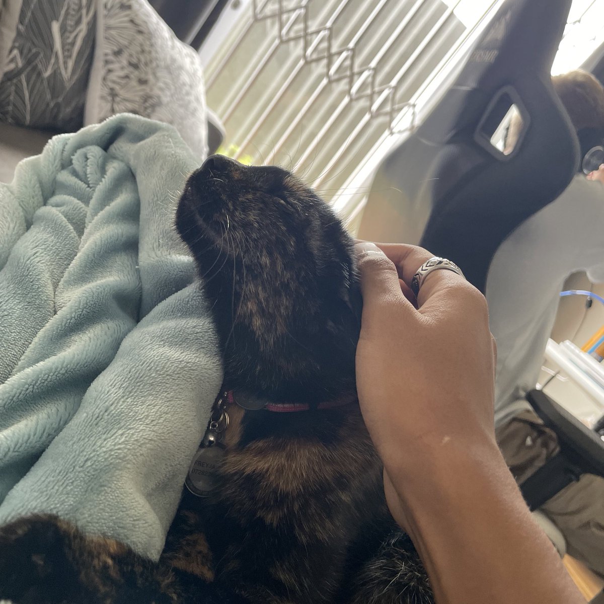 Eskom forcing us to have a <a href="/LEVIT8_/">LEVIT8</a>  lan today 😂

Despite the result , being in the same place with some of your team is sick asf 🖤inshallah we get an official Lan someday #Levit8ing