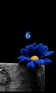 Slam_Words's tweet photo. #SlamWords #68thEdition #encore - round 6
Your prompt this round: rejuvenating
#GuestHost - @Carolinagrl7
Write a Scene or Dialogue // *all styles-genres welcome*
#LetsWrite https://t.co/wED3Jl7LCX