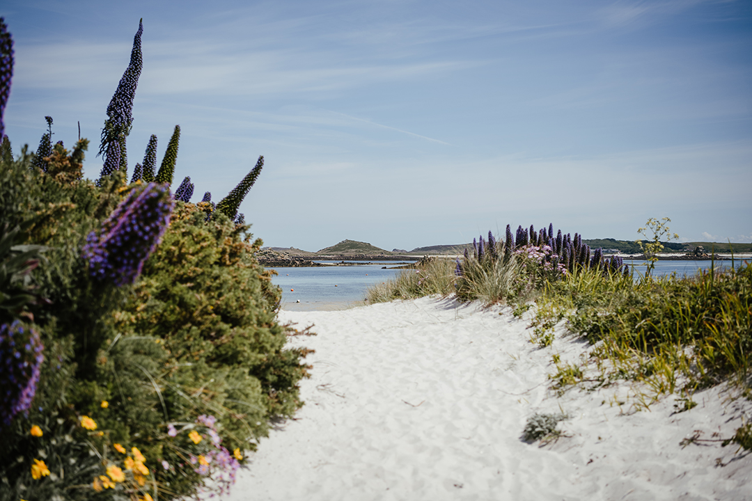 IOSTravel's tweet photo. There is something magical about exploring the islands by foot.
Through openings in the trees, catching glimpses of the beautiful Scilly-scape, sandy coves and seas of colour as the spring blooms start popping up over the islands.
https://t.co/jwFqnsrKVj https://t.co/LN8vsDoCQG