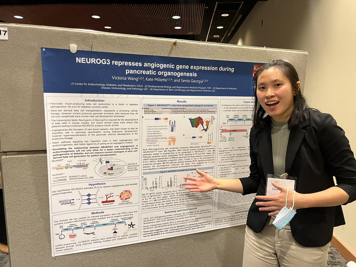 GeorgiaLab tweet media