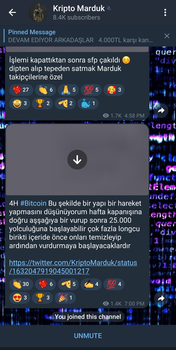 _cyberworm's tweet photo. @borsaressami https://t.co/Yka8GJbm0B