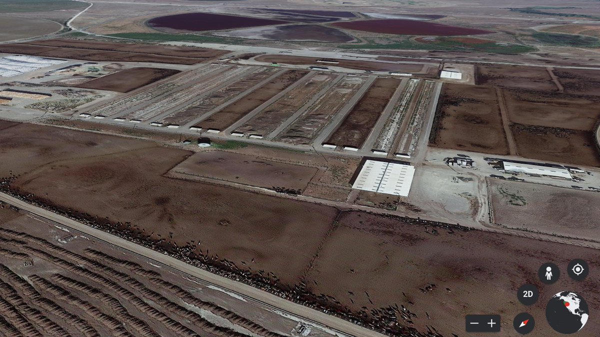 2020 U.S. Dairy Sustainability Awards recipient for Outstanding Dairy Sustainability. I kid you not.