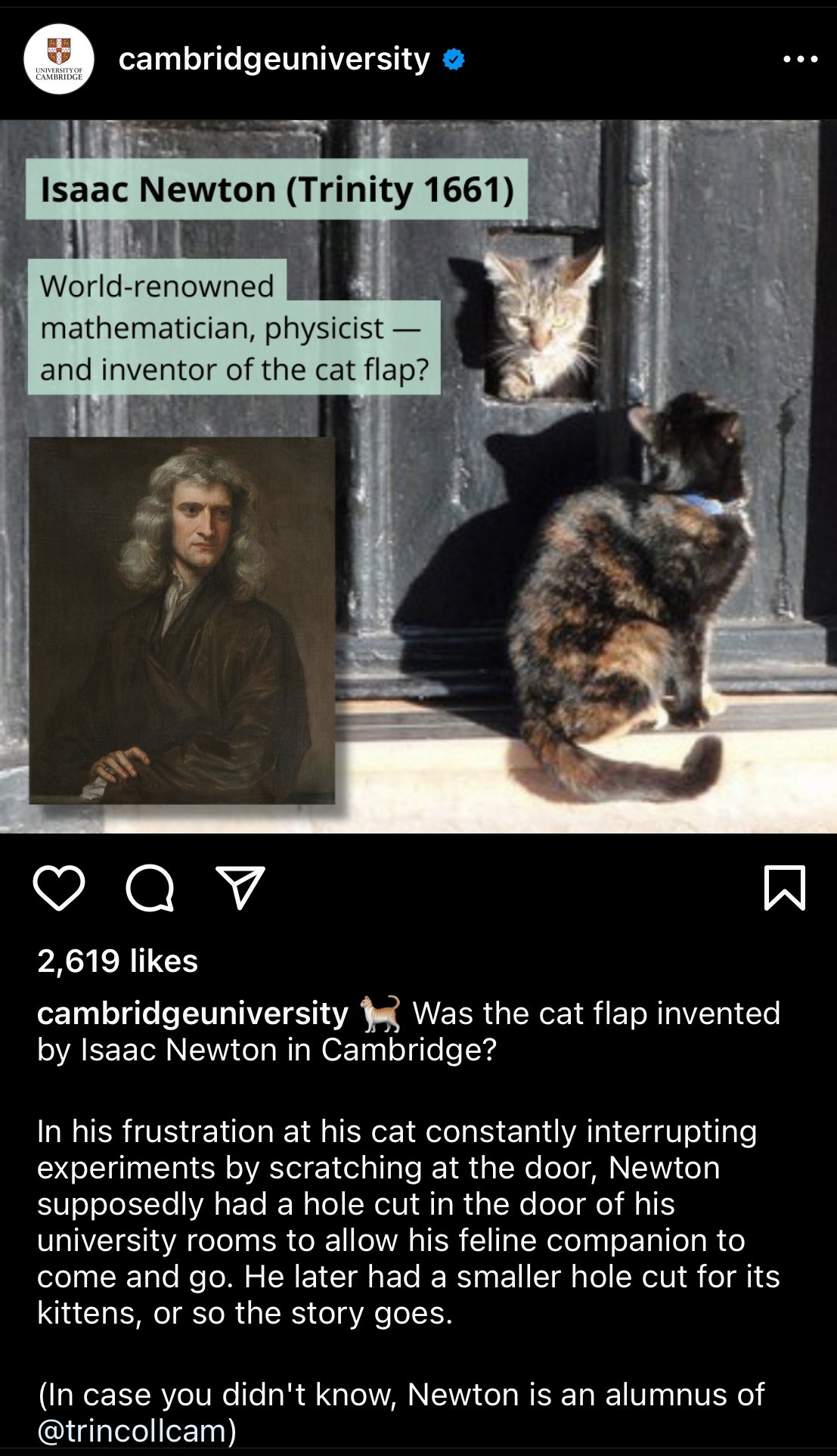 Isaac newton cheap cat flap