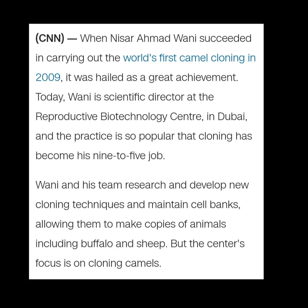 Tealfractals488's tweet photo. #cloning #clone #researchdonaldmarshall #desensitization #conditioning #socialresponsetest #socialresponse #publicresponse #camel #clonedcamel #dubai #india #nisarwanai #reproductivebiotechnolycentre #center #camelpageant #revivedeceased #cloningextinctanimals #extinct https://t.co/oWY0qMpFQI