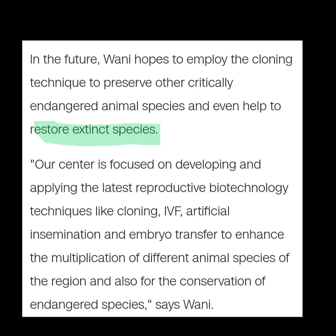Tealfractals488's tweet photo. #cloning #clone #researchdonaldmarshall #desensitization #conditioning #socialresponsetest #socialresponse #publicresponse #camel #clonedcamel #dubai #india #nisarwanai #reproductivebiotechnolycentre #center #camelpageant #revivedeceased #cloningextinctanimals #extinct https://t.co/oWY0qMpFQI