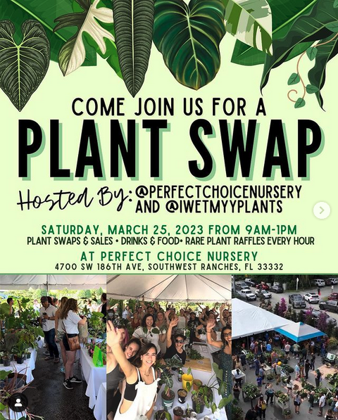 nurturingnat1's tweet photo. Come join us for a plant swap!

https://t.co/vM4R5Xe9le

#horticulture #plants https://t.co/FofC54YWro
