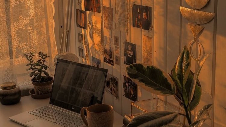 malusokay's tweet photo. Golden hour 💫 https://t.co/QUdezir2M9