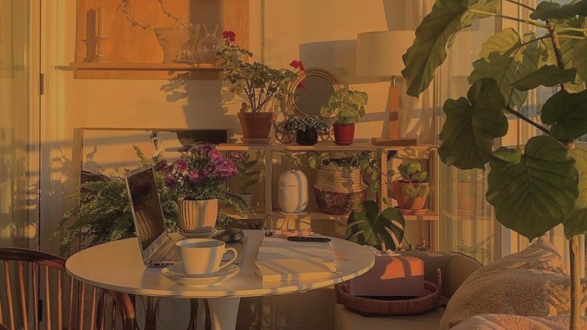 malusokay's tweet photo. Golden hour 💫 https://t.co/QUdezir2M9