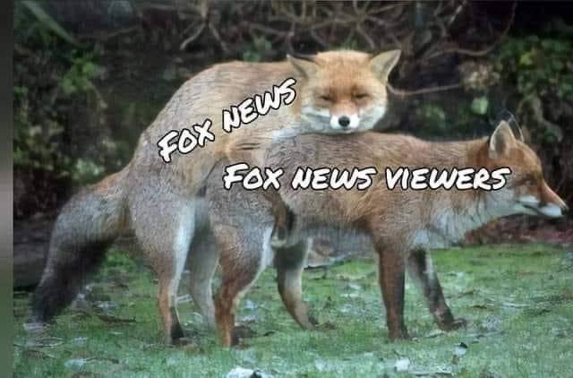 Rodents of unusual size (ROUS) in disguise?

Faux Fox's will fuck each other just for the fun and dollars of it. 

Such deplorable's.