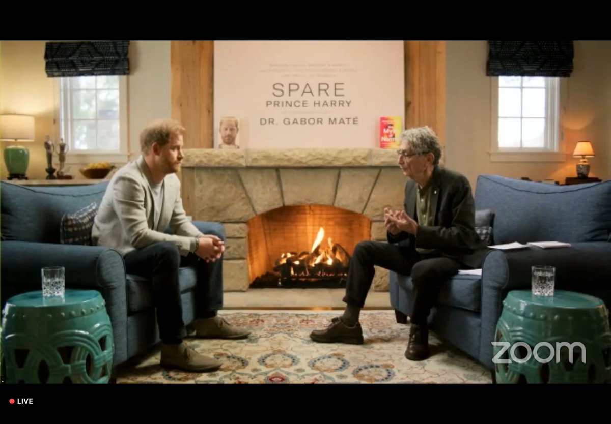 sarahhewsonTV's tweet photo. Prince Harry tells Dr Gabor Maté: “I’ve lost a lot but at the same time I have gained a lot. To see my kids growing up here, the way they are, I just cannot imagine that would have been possible if we had stayed within that environment.” https://t.co/fllqY1RF1w