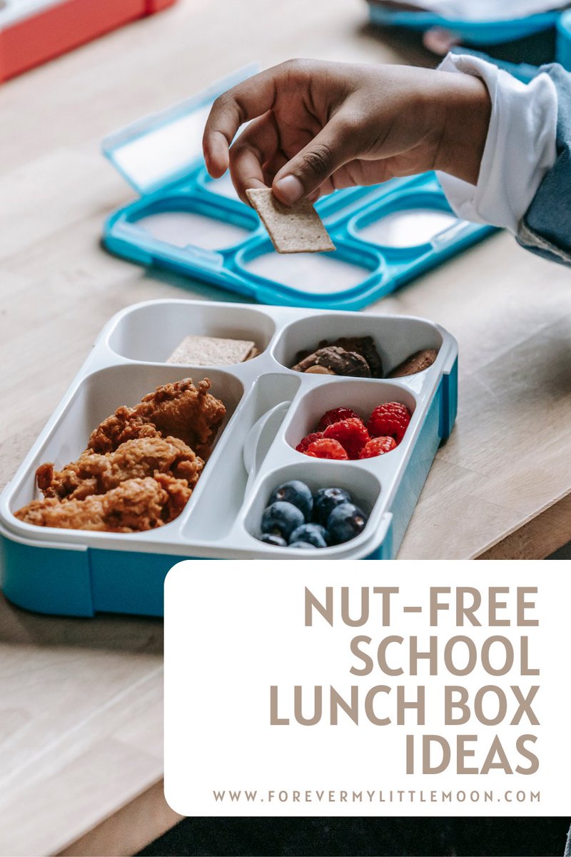 Nut-Free School Lunch Box Ideas 👇 forevermylittlemoon.com/2023/02/nut-fr…

*
#school #lunchbox @CreatorsClan#CreatorsClan @PompeyBloggers @sincerelyessie @TeacupClub_  #TeacupClub @ThePinkPAGES_ @wakeup_blog @BloggersVP  #BloggersViewpoint