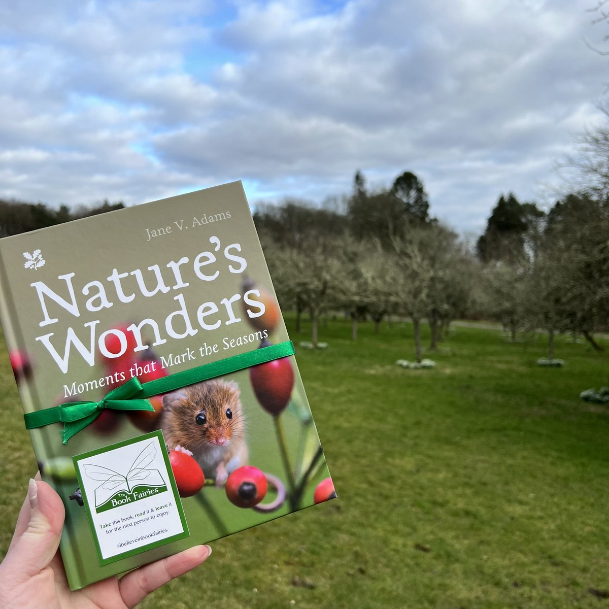 The Book Fairies are celebrating Nature’s Wonders today! This National Trust book by Jane V. Adams will make readers see Spring in a magical way! #ibelieveinbookfairies #TBFCollins #TBFNaturesWonders #NTNaturePoems #NationalTrust #BookFairiesinBloom #Falkirk #BookFairiesFalkirk