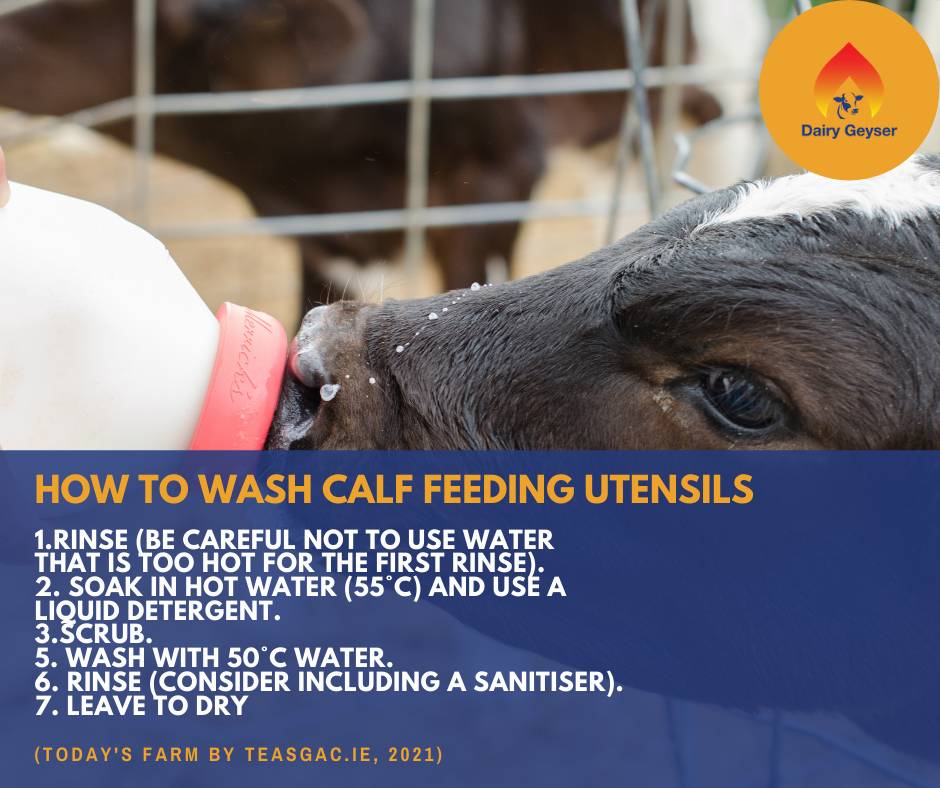 Farming Tip for the week..
To know more about Dairy Geyser, call us @0872362397
Visit us: dairygeyser.ie
#dairyfarm #farmers #farming #farmingtip #agrilife #irishagrilife #farmersinireland #farm #agriculture #farmlife