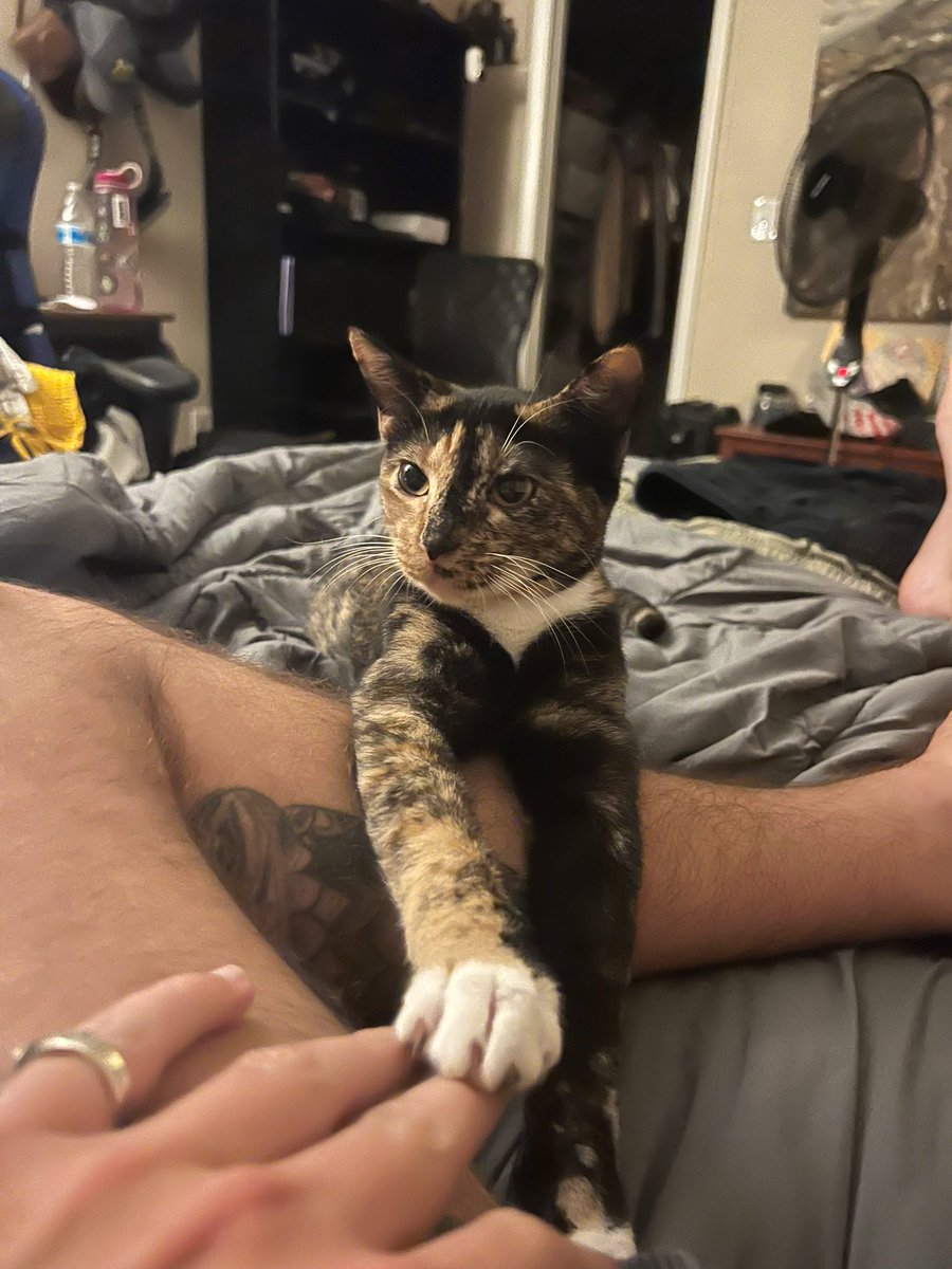 Buns being all cute last night smh