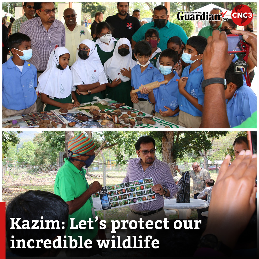 CNC3TV On Twitter T T s Wildlife Is Under Threat Of Habitat Loss It cnc3tv-on-twitter-t-t-s-wildlife-is-under-threat-of-habitat-loss-it