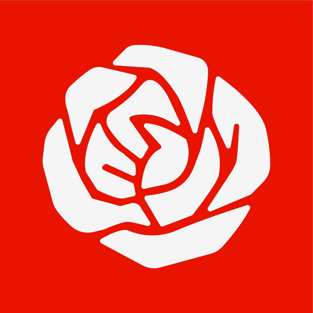 Siggi Odds tweet media