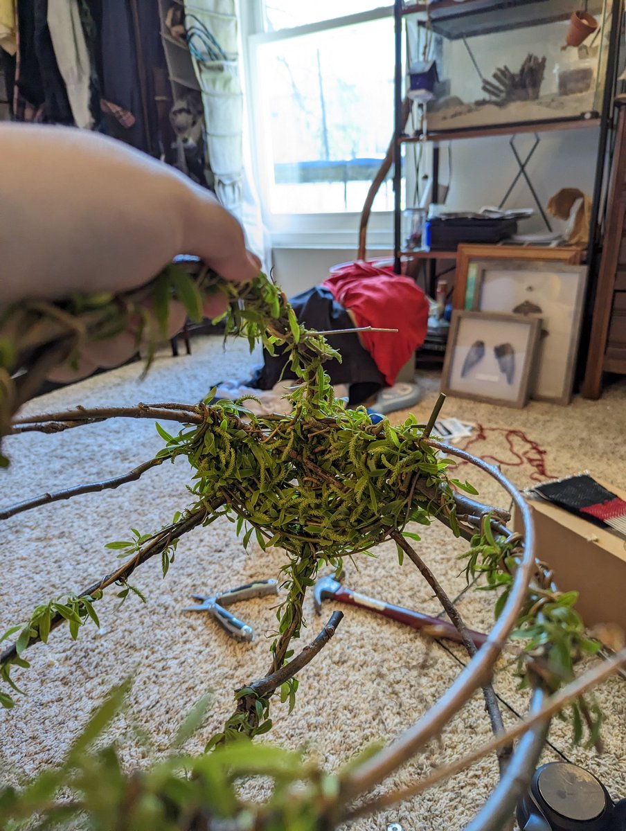 Like_The_B1rd's tweet photo. Neighbors' tree dropped a shit ton of branches in our yard last night :DDD https://t.co/je2CAv6tDb