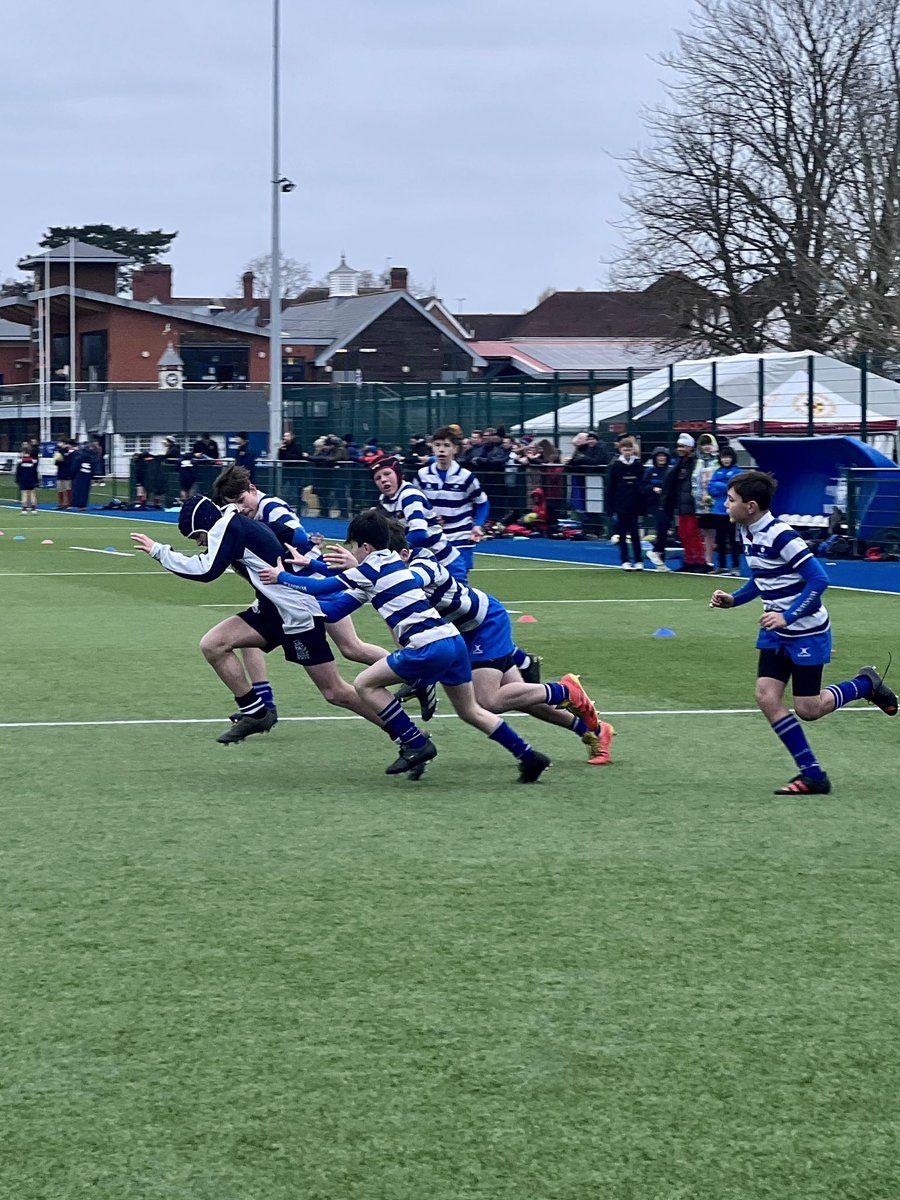 BWS Rugby tweet media