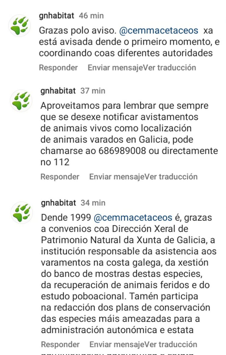 silcerino's tweet image. #Coruña | Este mediodía apareció un zifio en las rocas del paseo marítimo, zona #AsLagoas, del que se ocupó @CEMMAcetaceos. 

Desde @gn_habitat nos cuentan cómo hacer cuando veamos alguno. 

*Gracias a #Pedromrsousa_ por el vídeo.