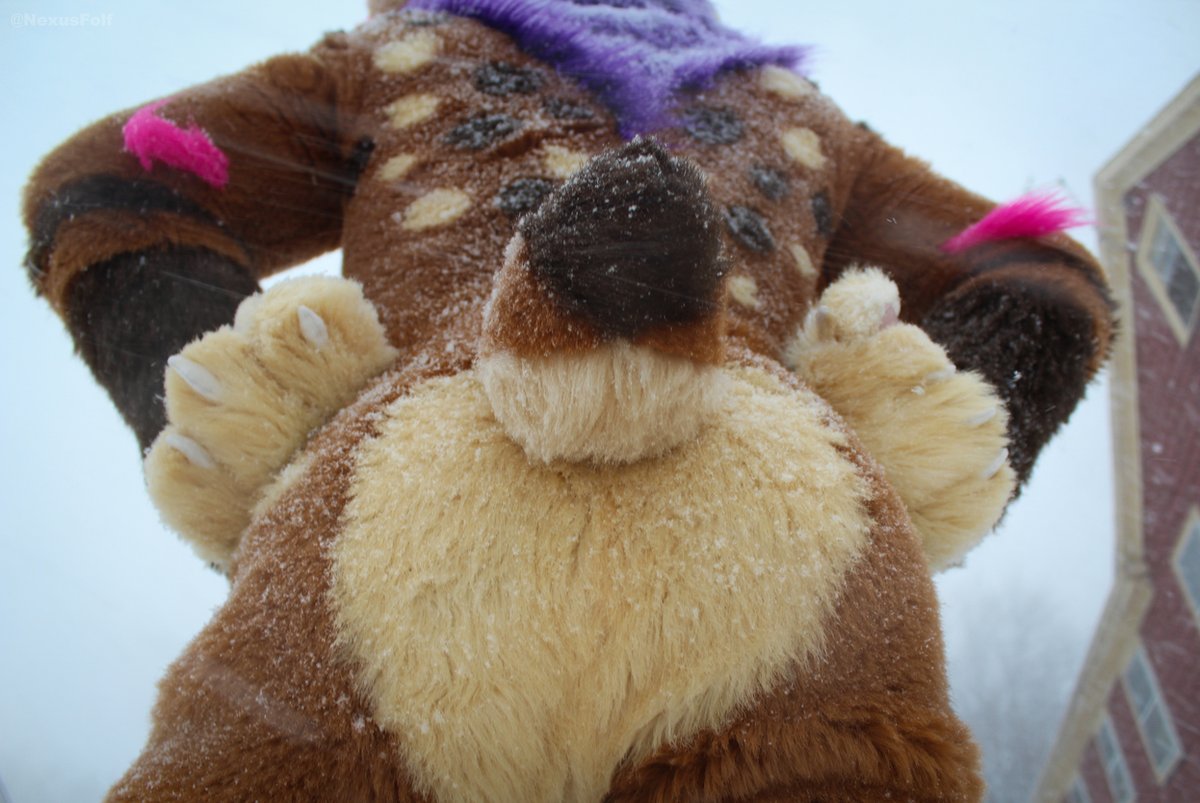 Winter booty! Featuring <a href="/SmellyStrobes/">Strobes</a> &lt;3