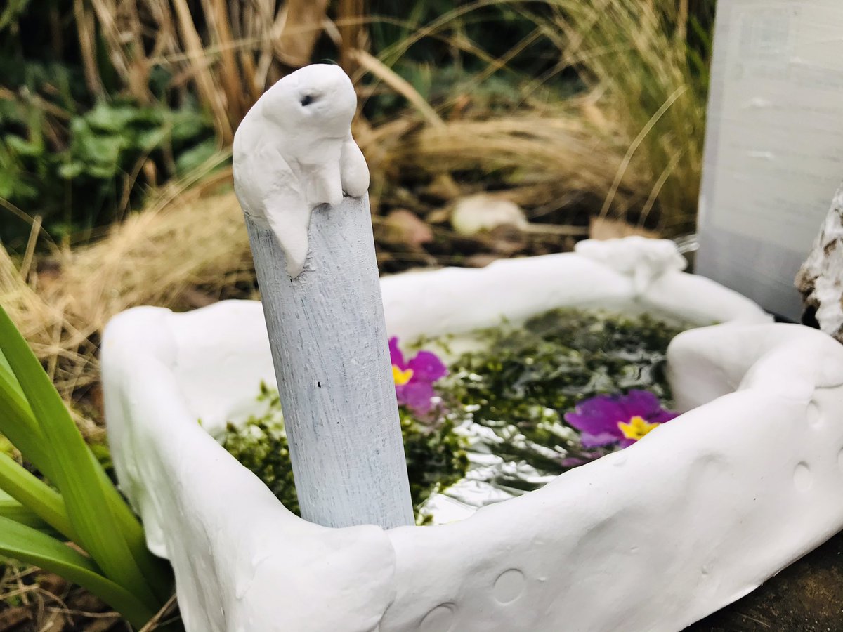 HattieMobbs's tweet photo. VIEWING NOW OPEN!👀 Don’t miss the chance to snap up this unique Frodhouse &amp; be the envy of your amphibious neighbours!  Check out the bug-riddled pool, swamp chamber (with ‘Angel of the Frogs’ mosaic &amp; cosy (and damp) snug. Fairytales DO come true! 🐸#GAFWHES #GISH #FROD https://t.co/Oy0BMaL6u6