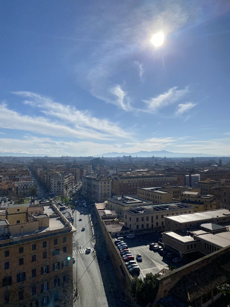 Sean Walsh tweet media