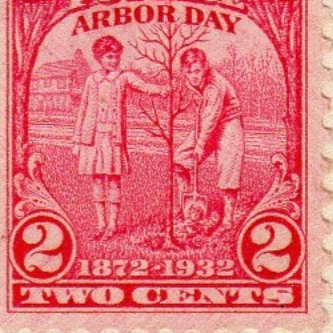 New Braunfels Conservation Society tweet media