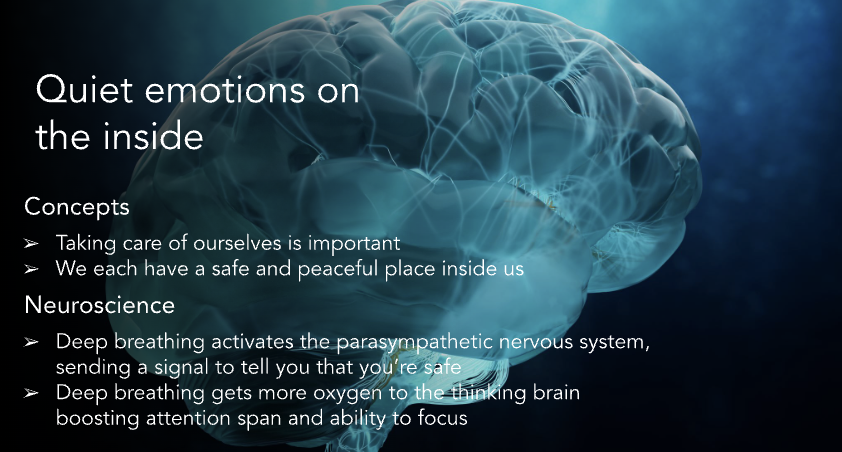 BTwarek's tweet photo. This session by @here4itall @NoeSF and @LilibethMay9 is next level. Love how they have grounded culturally responsive teaching and social-emotional learning practices in neuroscience. #EquityInAction #CSTAEquityFellow #CSforAll https://t.co/FS7N3wfQVS
