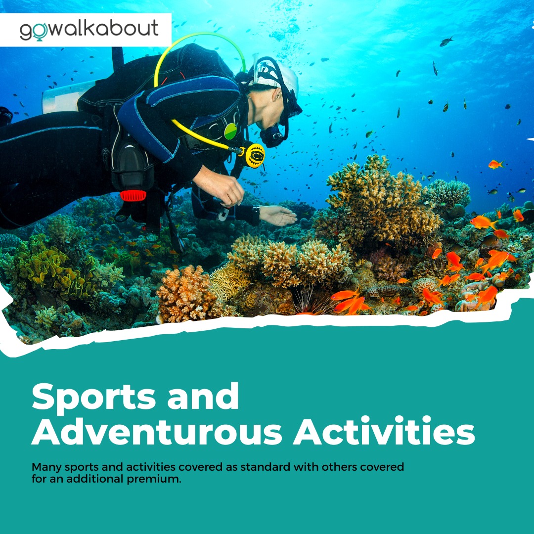 GoWalkaboutUK's tweet photo. Our travel insurance policies really do offer great value for money with an array of Sports and Adventurous activities covered automatically.
Find out more by visiting our website.
🌍https://t.co/fV7fTVf8Pr

#Travel #Travelinsurance #workingholiday #backpackers https://t.co/9vkneFMY0u