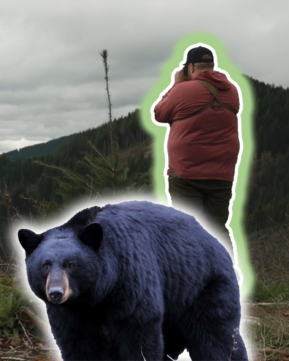 Wild Food Outdoors tweet media