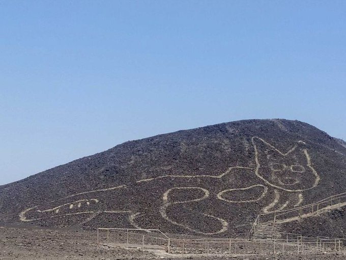 Archaeologists recently discovered a giant cat ‘geoglpyh’ etched into a hillside in Peru which dates back to 200 BCE. The giant cat stretches 36.5 meters and was found at the historic Nazca Lines, an UNESCO World Heritage Site 

#Caturday 
[read more: ow.ly/6NiC50BXwbE]