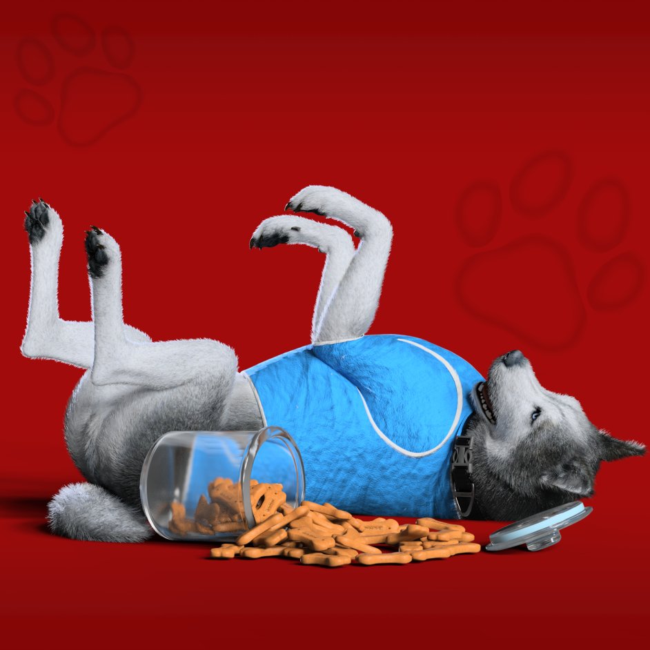 Lazy weekend roll call! #NFPets holders, who’s got a furry friend helping them unwind (and snack) this Saturday? 😴 🦴