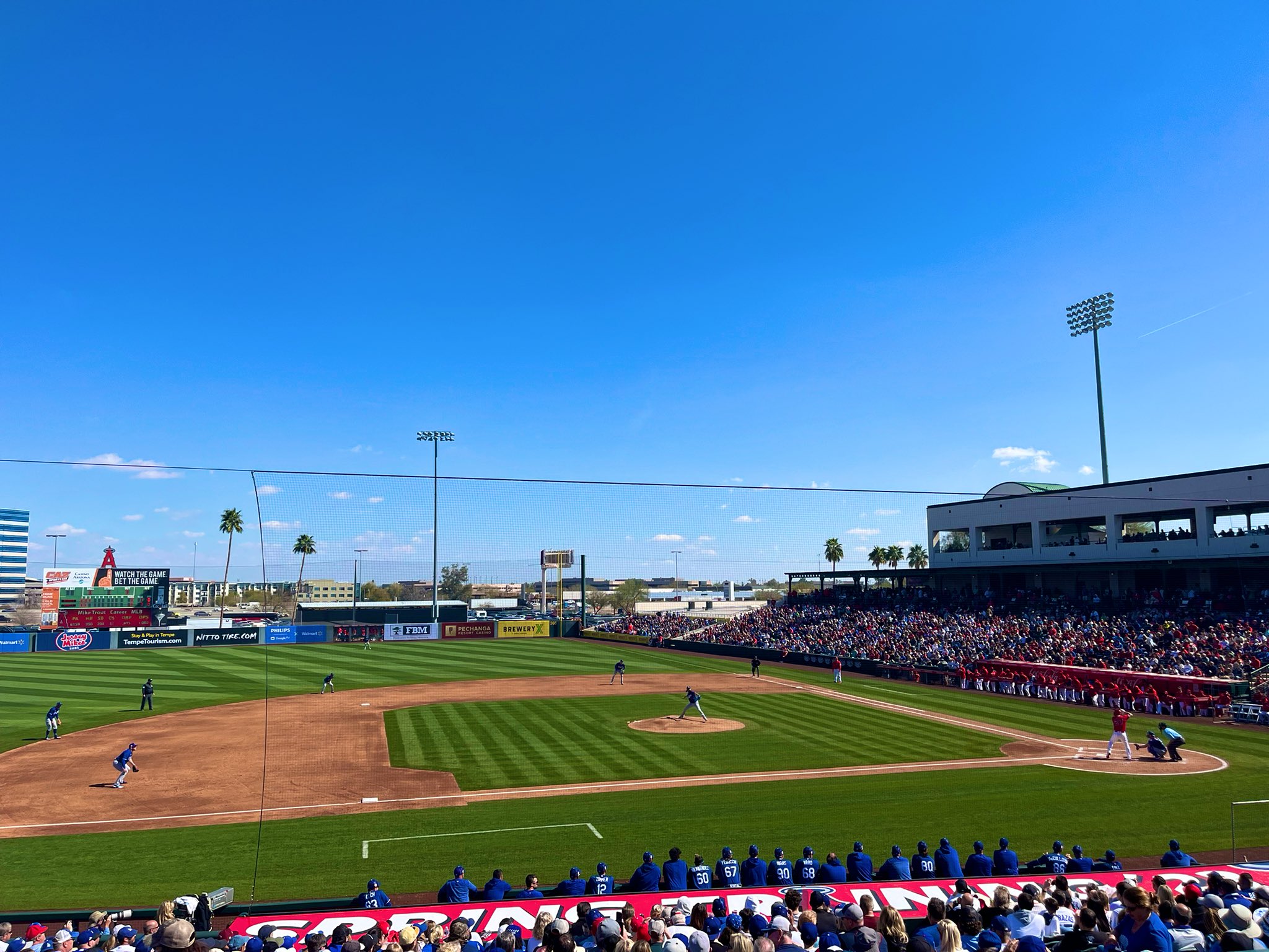 Los Angeles Angels on X: Join us at Tempe Diablo Stadium for our