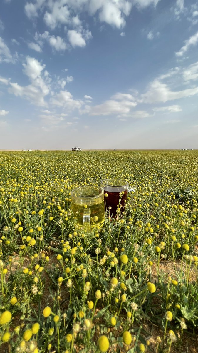 <a href="/az_____z/">عِـزّ 📻</a>