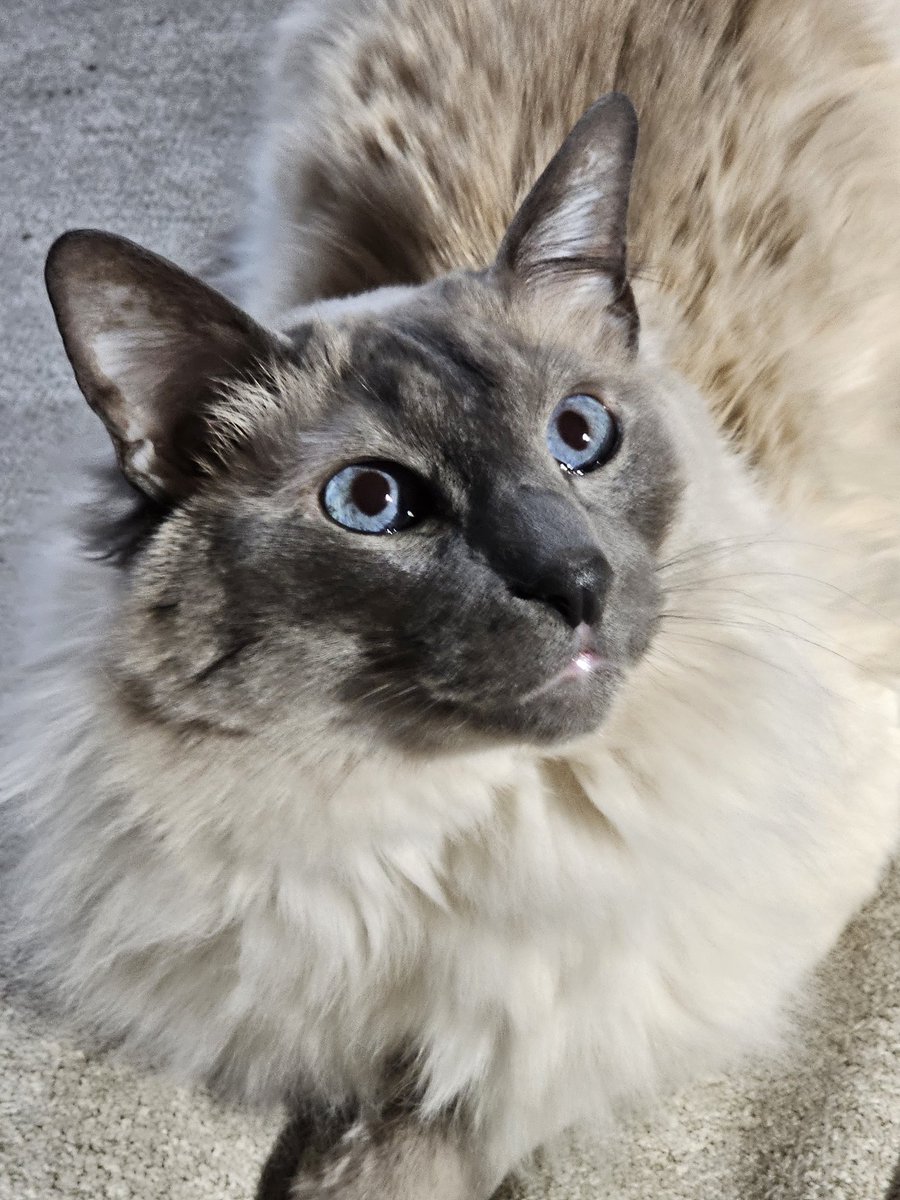 Brian King tweet media