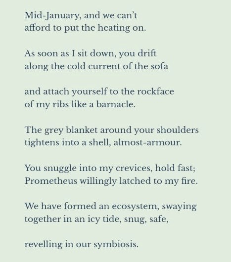 My poem 'Barnacle' in @madrigalpress. Honoured to be a part of the phenomenal Metamorphosis issue! themadrigalpress.com/post/barnacle
