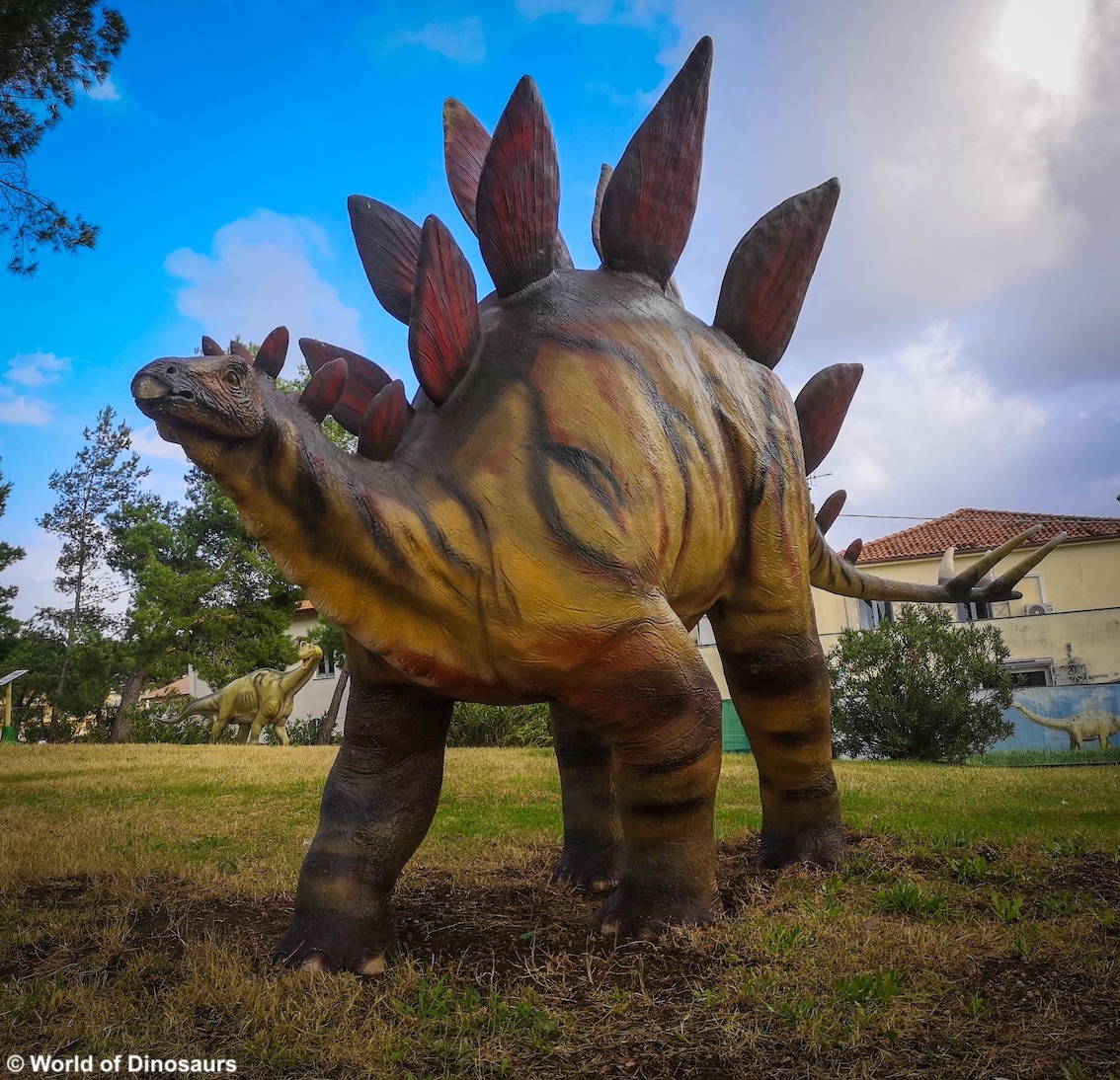 TurismoItaliaNw's tweet photo. Boom di visitatori al Parco dei Dinosauri di Capaccio Paestum, a migliaia nel primo mese di apertura 
Leggi la notizia https://t.co/eJqfFP6hjB

#capacciopaestum #dinosauri #parcotematico #preistoria #turismo #turismoitalianews https://t.co/YSe1CMQEpC