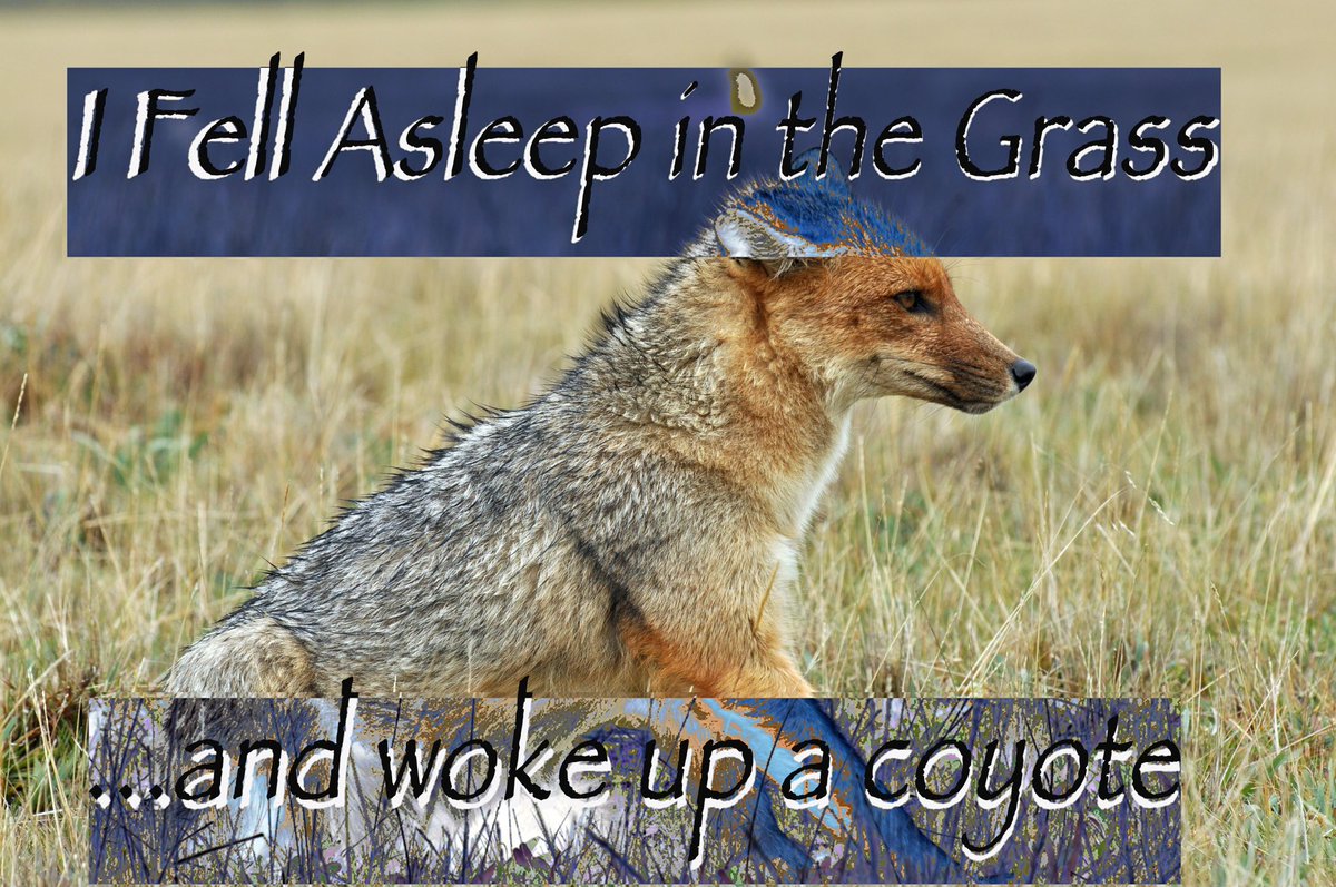 2BnBURR (@killycake) on Twitter photo 