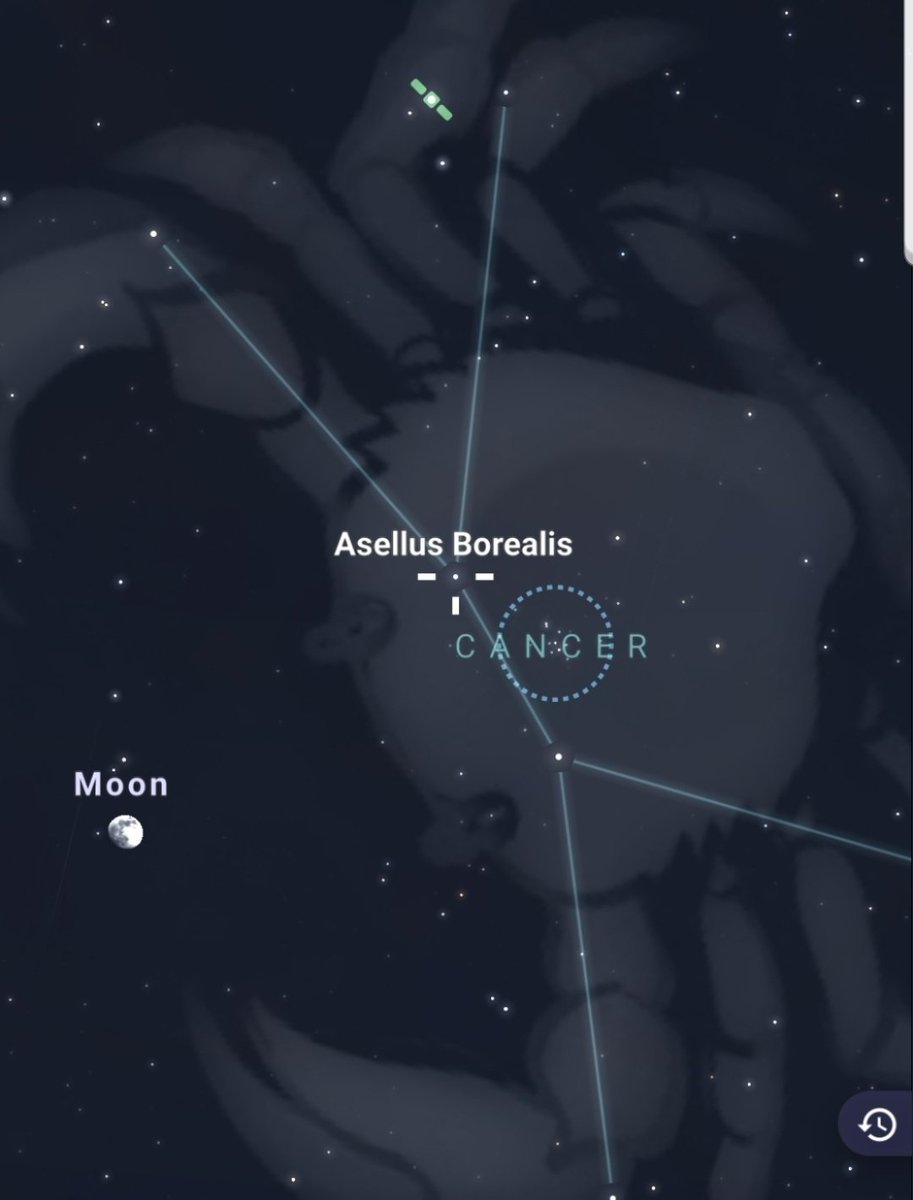 MoonMagicAstro's tweet image. Today the Moon🌙 moves thru tropical Leo (sidereal Cancer) conjunct the Aselli fixed stars (the Asses😂). These have the nature of Mars &amp;amp; Sun: heroic, courageous &amp;amp; war-like. A good day to take care of responsibilities or to do something charitable.