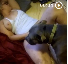 K9DoGFucKeR's tweet photo. #JillianLeAnnQuistJones Jillian LeAnn Quist Jones  #Sacramento #DoGFucKeR aka #SlurpyDogPussy attacks homeowner when Jillian is found to be fucking w/ the dog &amp; sucking the dogs #RedTipLipStickDogDick . Jillian was convicted of #bestiality 286.5PC 4 fucking dogs while pregnant. https://t.co/P6jEgFyu4p