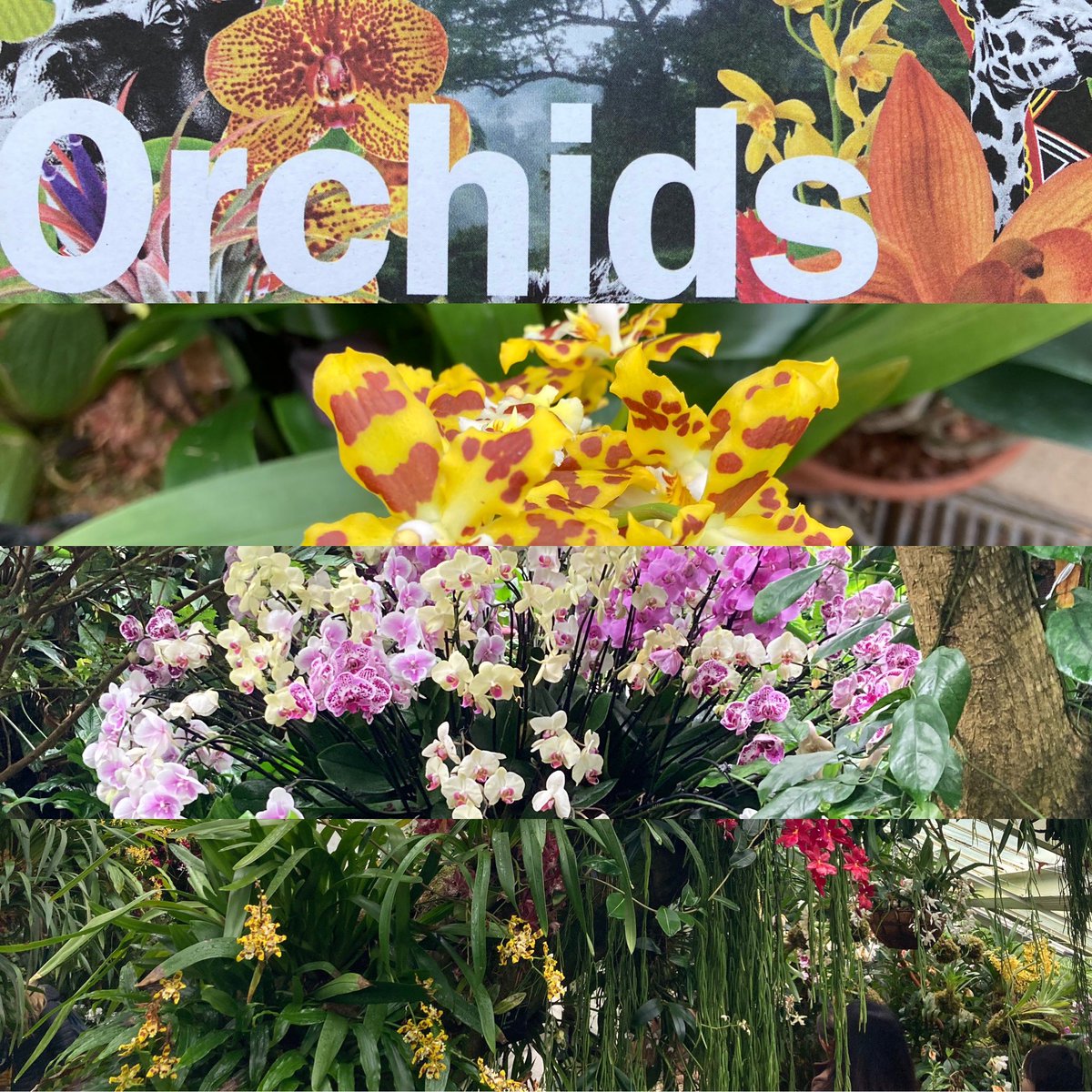 And a nice morning out .