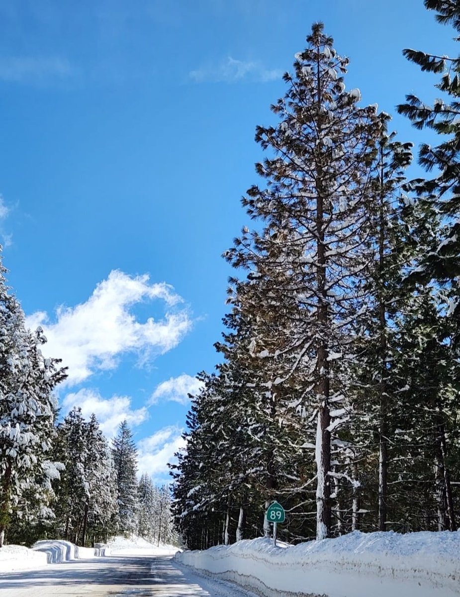 Today's view of the drive to our Cedar Cabin nestled in the serene winter-wonderland of Mount Shasta. How's your weekend going? 

View Spring Deal: airbnb.com/rooms/73352549…

#winterwonderland #vacationmode #siskiyoucounty #airbnbrental #cedarbaygroup #cbgsf #cbgrealestate