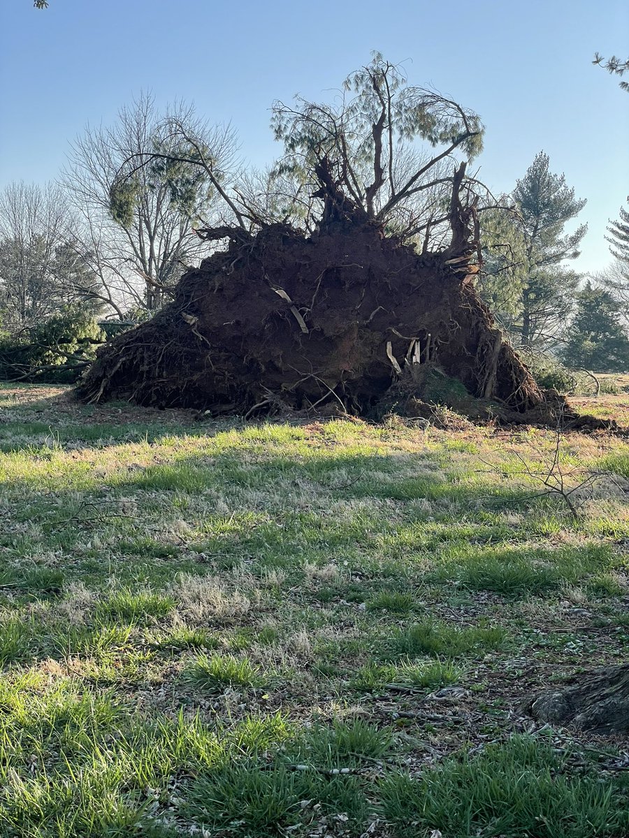 BDuncanTurf's tweet photo. Golf courses all across the state of KY probably look a lot like this one this morning. We all have a long road ahead but fortunate to have a crew that already made the course playable for the Golf Week Junior Tour youth players this morning! @Leathersturf @BGCC1913 https://t.co/9cj9P0aRlC
