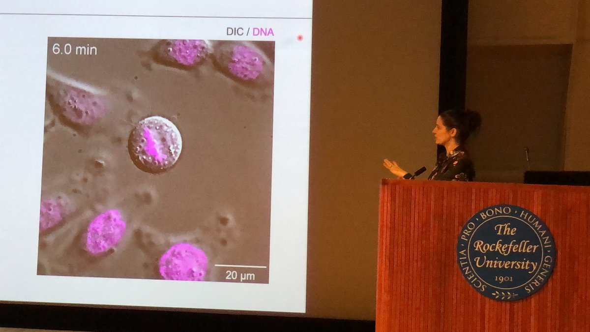 Megan E. Kelley, PhD tweet media