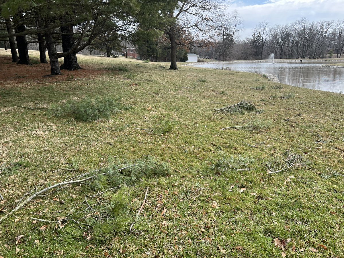 Lost three loads of these yesterday in the storm😔