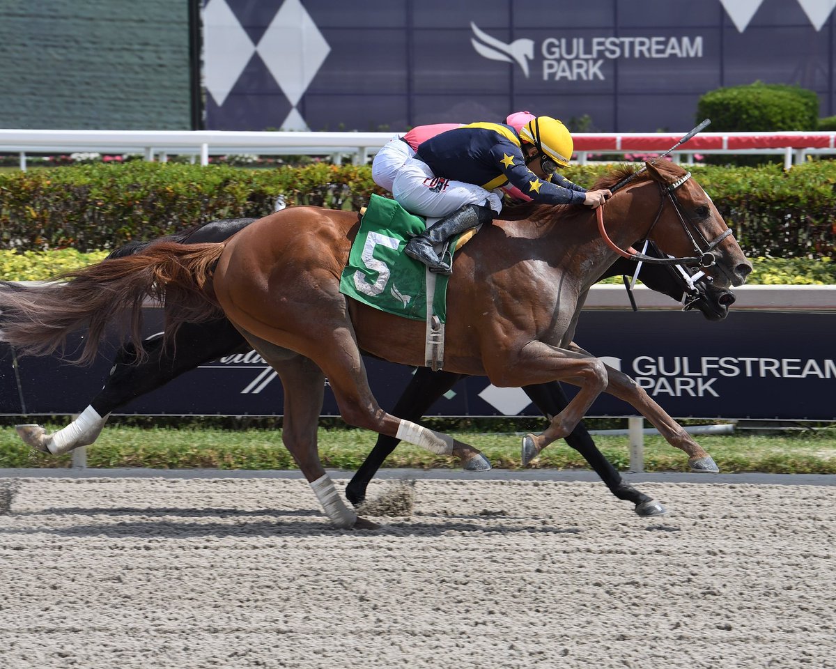 Jaime Roth on Twitter: