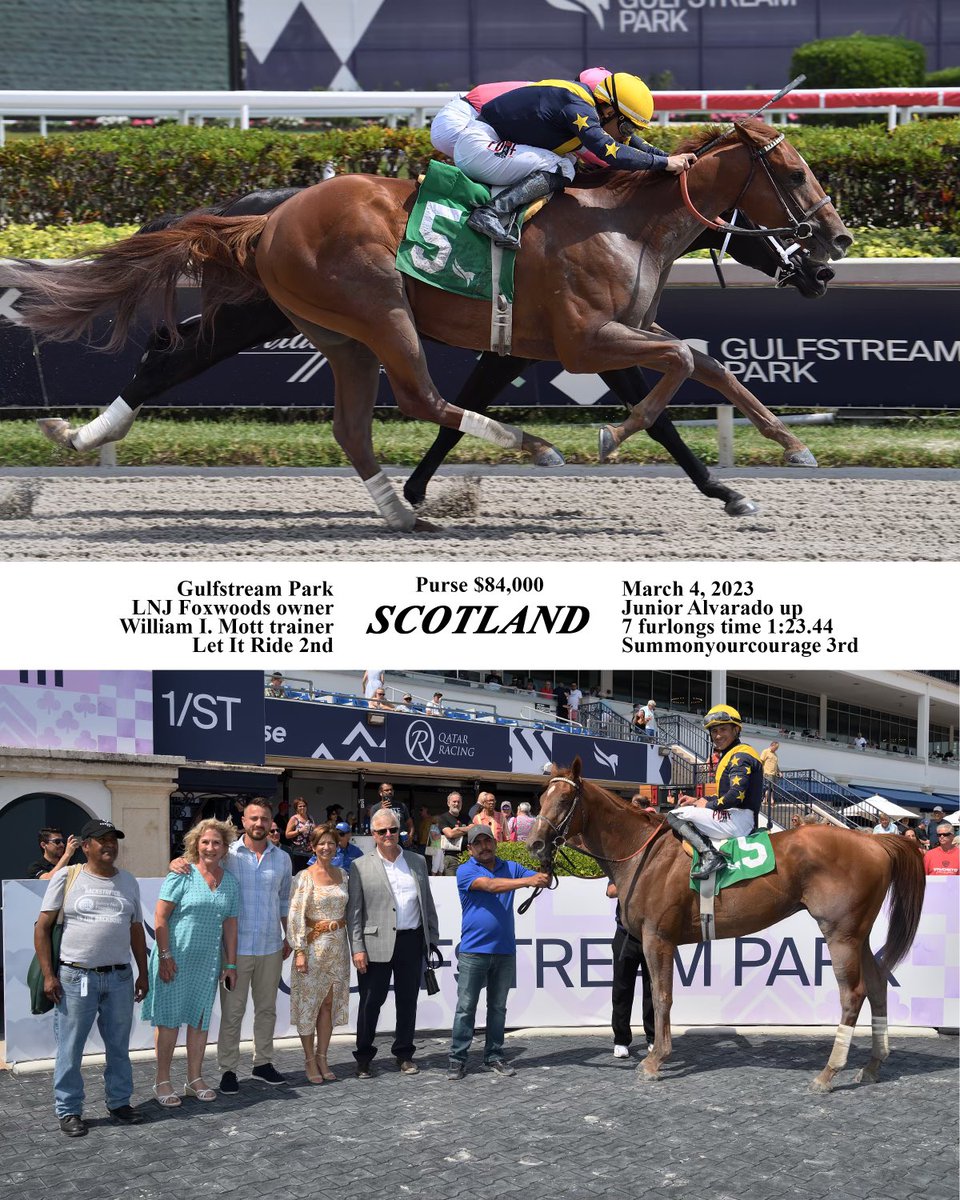 Jaime Roth on Twitter: