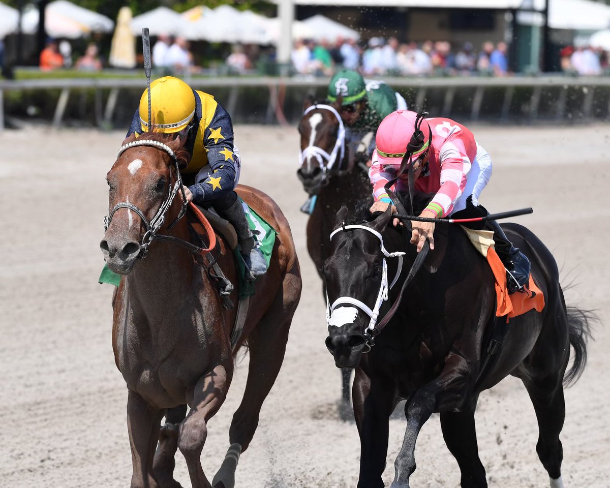 Jaime Roth on Twitter: