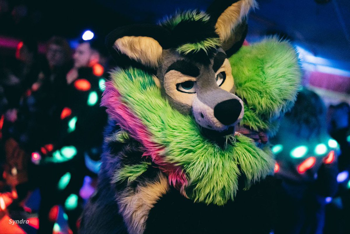 Partying with your close friends is 💚
NFC was an amazing week!

➡️ @fur_nerox
📸 @SyndraFox

Late #FursuitFriday #party #partyboat #fun #sweden #furry #NFC2023