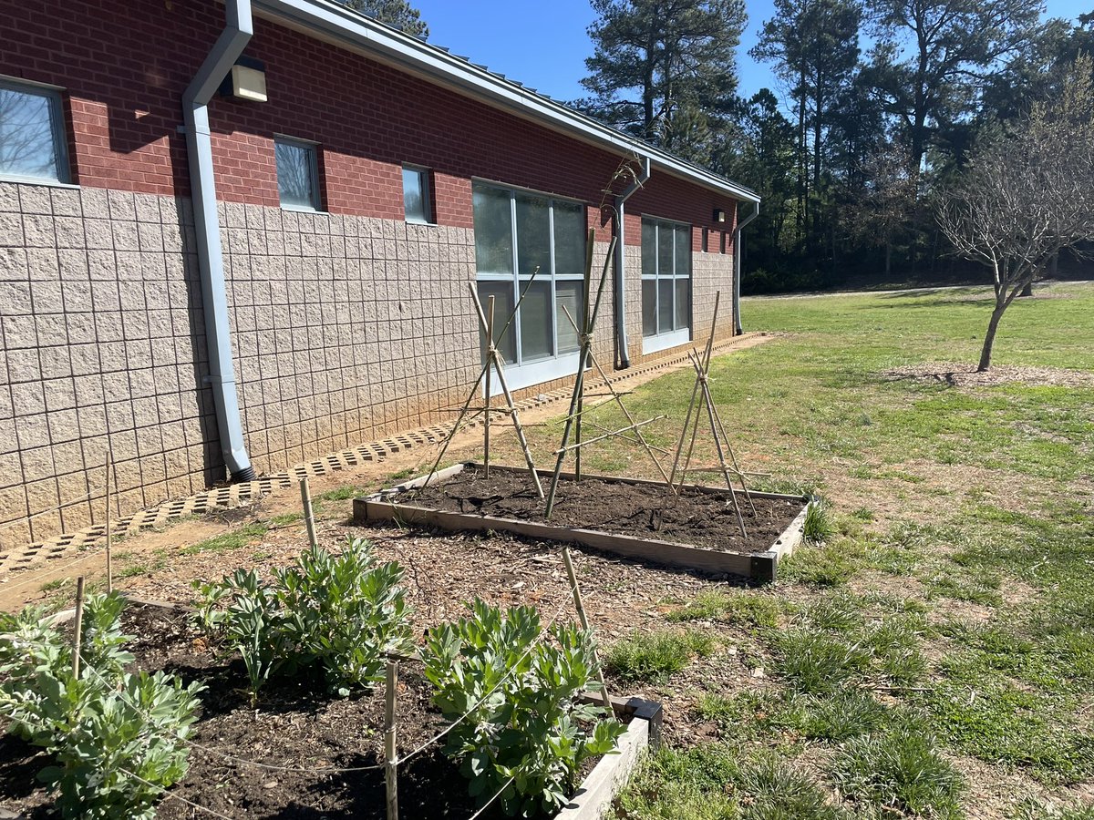 karen proctor tweet media